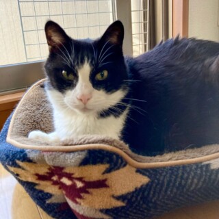 季節の変わり目